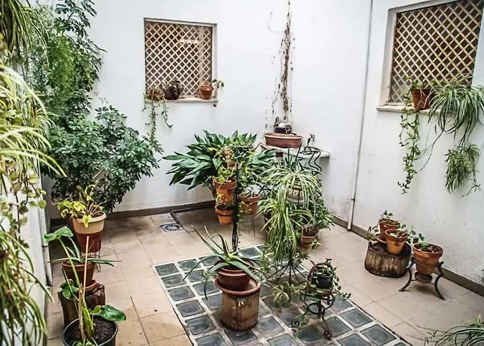 Goya Ii Pensión Carbonero el Mayor